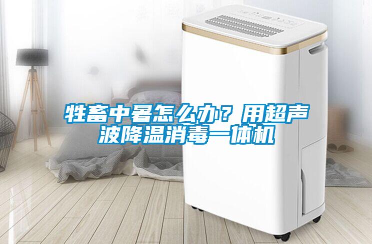 牲畜中暑怎么辦？用超聲波降溫消毒一體機(jī)