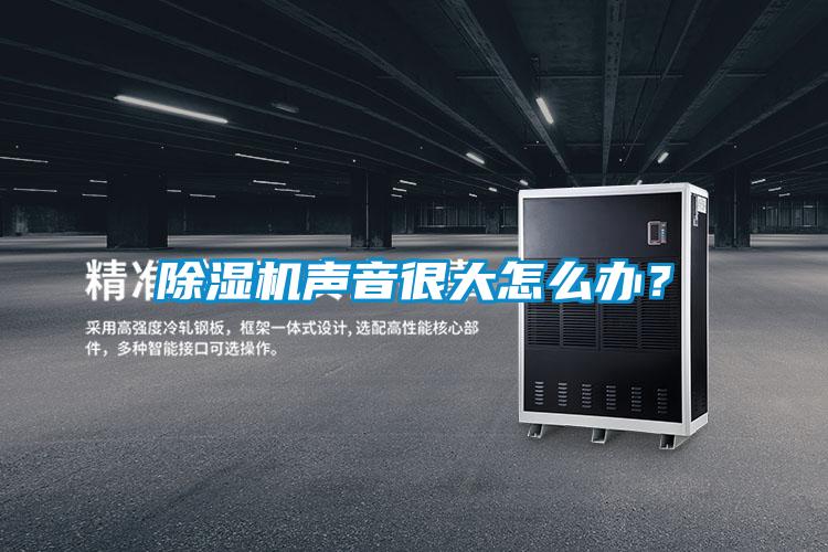 除濕機(jī)聲音很大怎么辦？