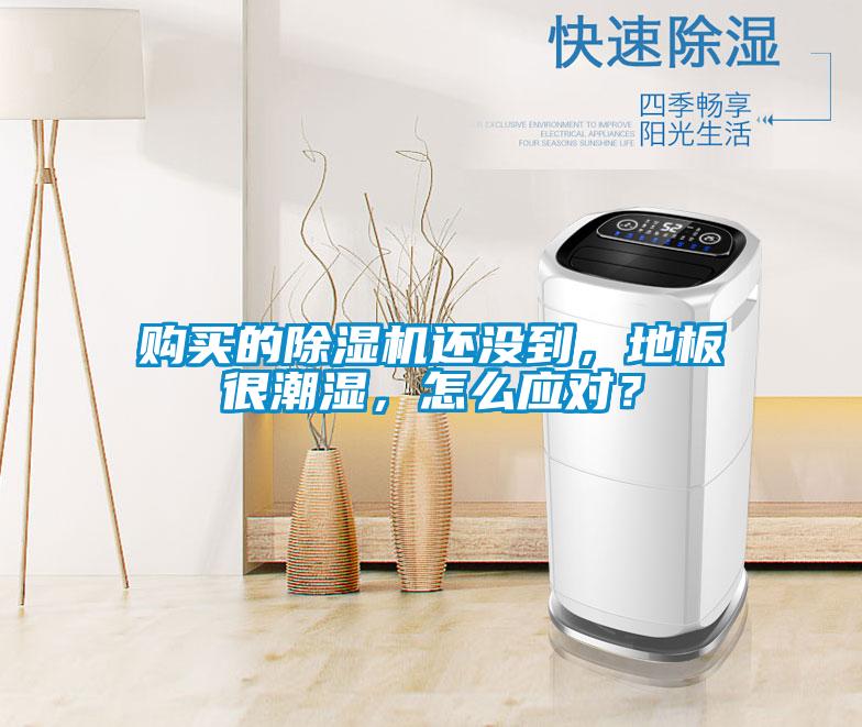 購買的除濕機(jī)還沒到，地板很潮濕，怎么應(yīng)對？