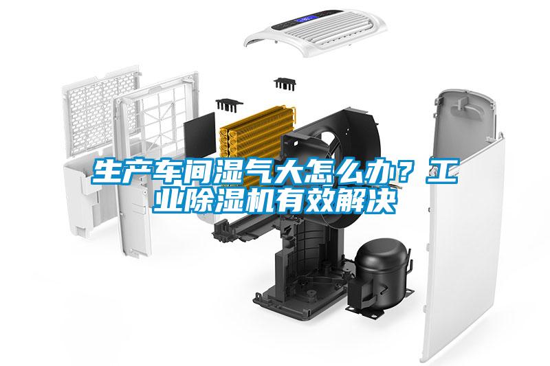 生產(chǎn)車(chē)間濕氣大怎么辦？工業(yè)除濕機(jī)有效解決