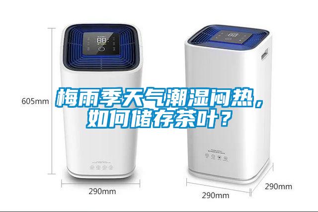 梅雨季天氣潮濕悶熱，如何儲存茶葉？