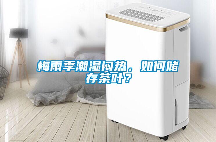梅雨季潮濕悶熱，如何儲存茶葉？