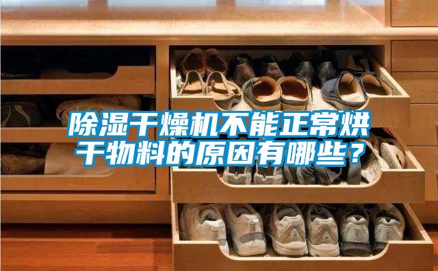 除濕干燥機(jī)不能正常烘干物料的原因有哪些？