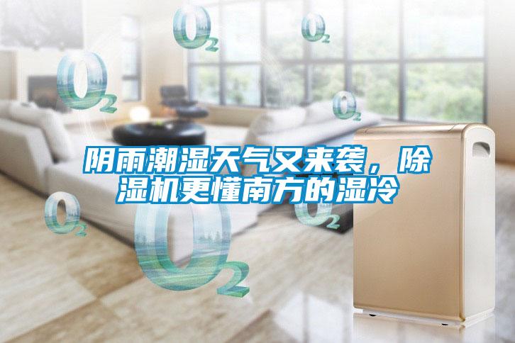 陰雨潮濕天氣又來襲，除濕機更懂南方的濕冷
