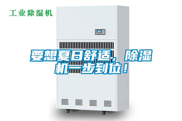 要想夏日舒適，除濕機(jī)一步到位！