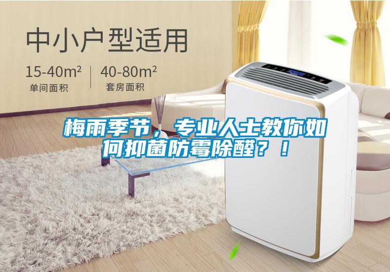 梅雨季節(jié)，專業(yè)人士教你如何抑菌防霉除醛？！