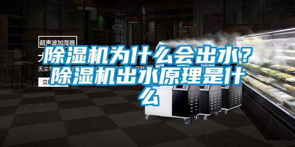 除濕機(jī)為什么會(huì)出水？除濕機(jī)出水原理是什么