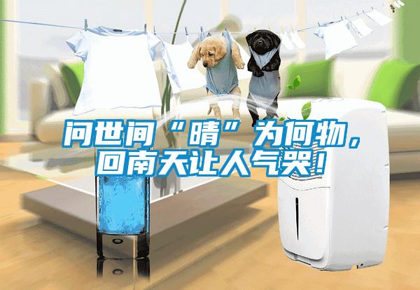 問世間“晴”為何物，回南天讓人氣哭！