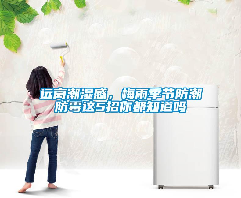 遠(yuǎn)離潮濕感，梅雨季節(jié)防潮防霉這5招你都知道嗎