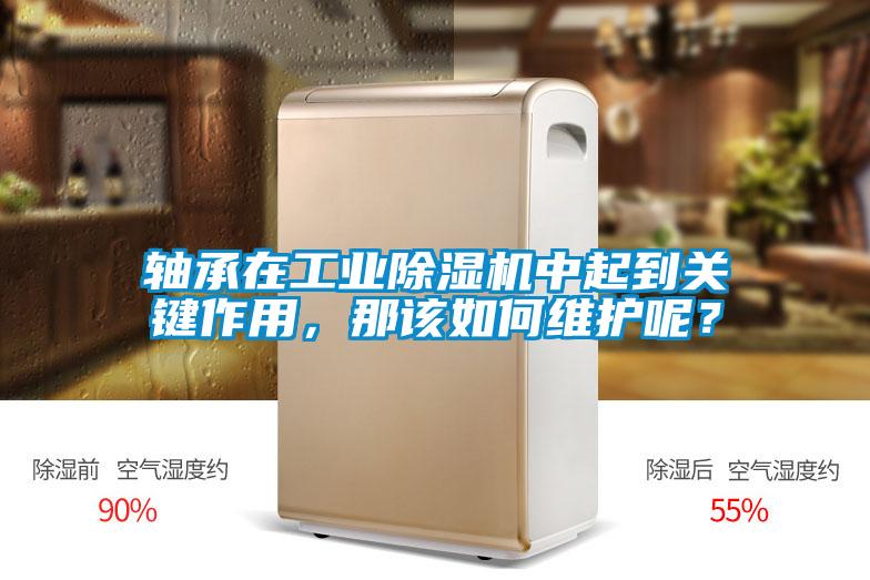 軸承在工業(yè)除濕機(jī)中起到關(guān)鍵作用，那該如何維護(hù)呢？
