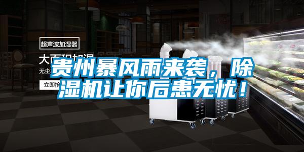 貴州暴風(fēng)雨來(lái)襲，除濕機(jī)讓你后患無(wú)憂！