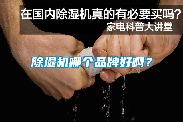 除濕機(jī)哪個(gè)品牌好啊？