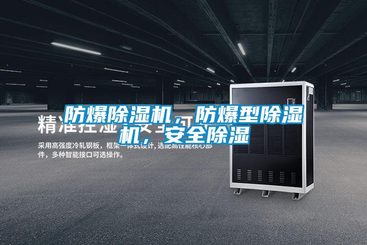 防爆除濕機(jī)，防爆型除濕機(jī)，安全除濕