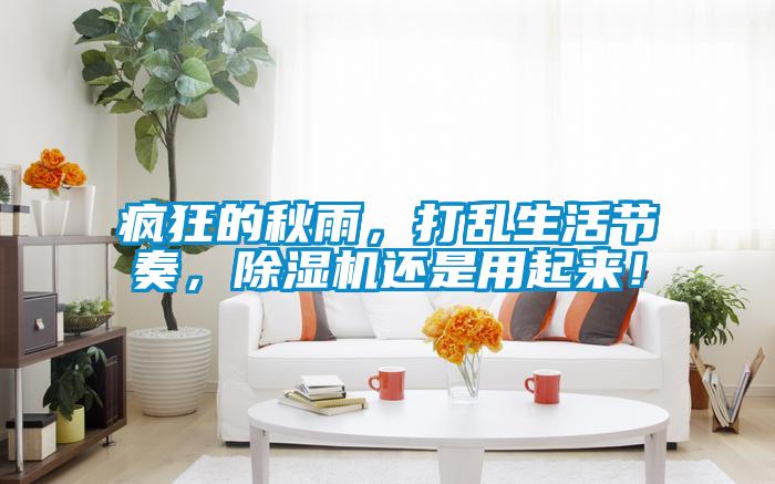 瘋狂的秋雨，打亂生活節(jié)奏，除濕機(jī)還是用起來！