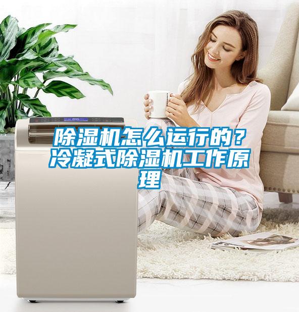 除濕機怎么運行的？冷凝式除濕機工作原理