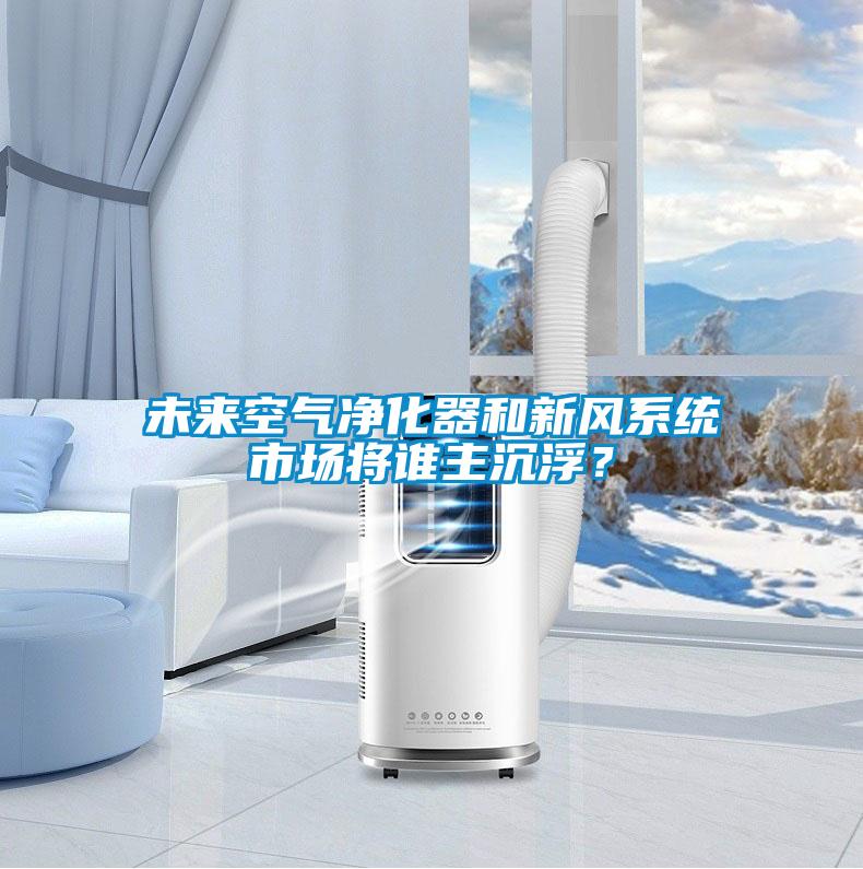 未來(lái)空氣凈化器和新風(fēng)系統(tǒng)市場(chǎng)將誰(shuí)主沉??？
