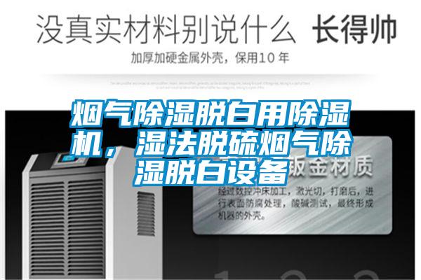 煙氣除濕脫白用除濕機(jī)，濕法脫硫煙氣除濕脫白設(shè)備