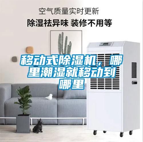 移動式除濕機(jī)，哪里潮濕就移動到哪里
