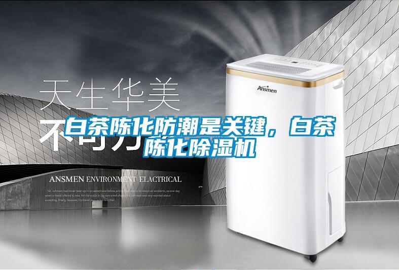 白茶陳化防潮是關(guān)鍵，白茶陳化除濕機(jī)