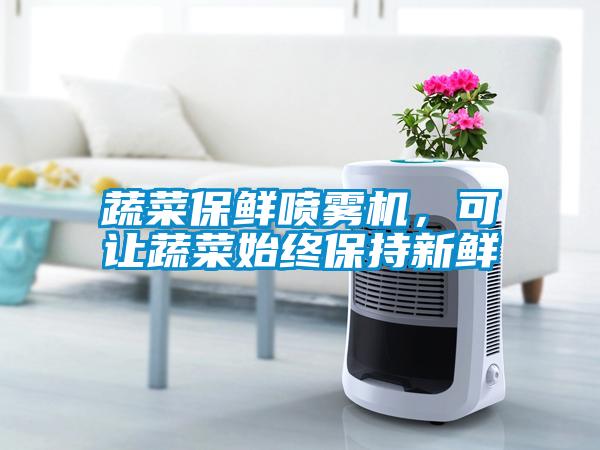 蔬菜保鮮噴霧機，可讓蔬菜始終保持新鮮