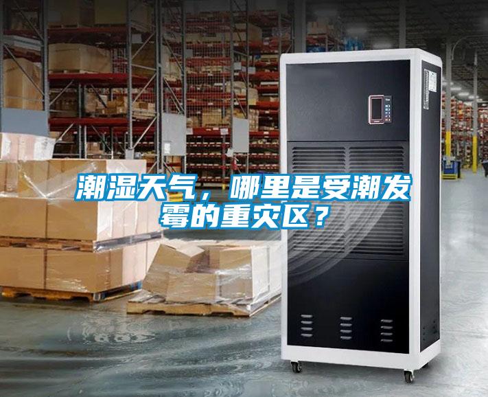 潮濕天氣，哪里是受潮發(fā)霉的重災區(qū)？