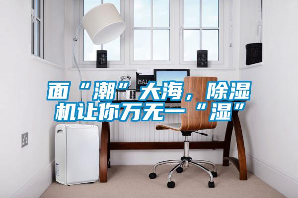 面“潮”大海，除濕機讓你萬無一“濕”
