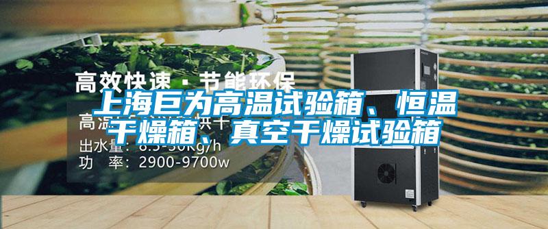 上海巨為高溫試驗(yàn)箱、恒溫干燥箱、真空干燥試驗(yàn)箱