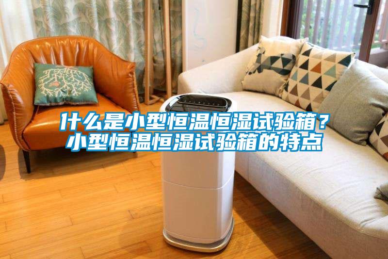 什么是小型恒溫恒濕試驗(yàn)箱？小型恒溫恒濕試驗(yàn)箱的特點(diǎn)