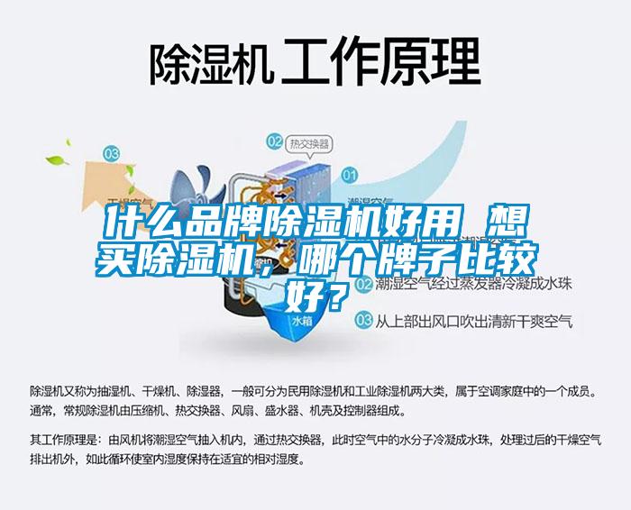 什么品牌除濕機好用 想買除濕機，哪個牌子比較好？