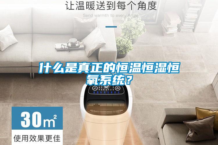 什么是真正的恒溫恒濕恒氧系統(tǒng)？