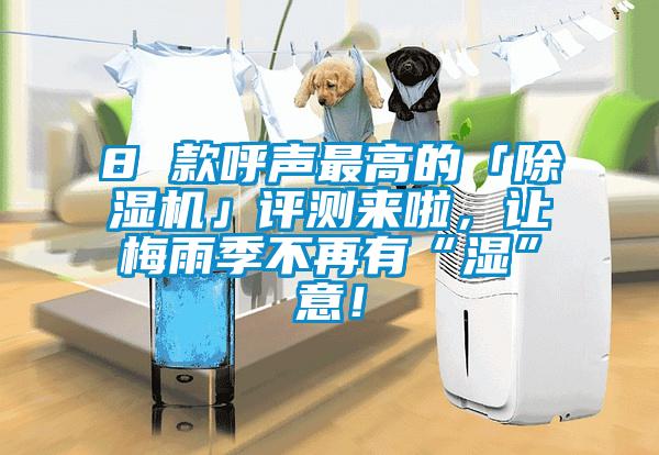 8 款呼聲最高的「除濕機(jī)」評(píng)測(cè)來啦，讓梅雨季不再有“濕”意！