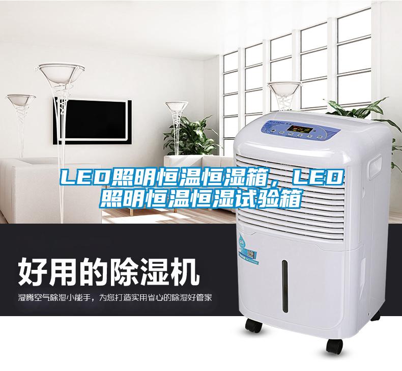 LED照明恒溫恒濕箱，LED照明恒溫恒濕試驗(yàn)箱