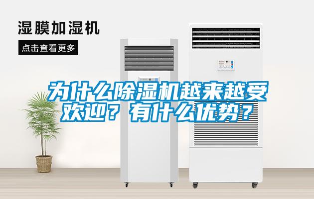 為什么除濕機越來越受歡迎？有什么優(yōu)勢？