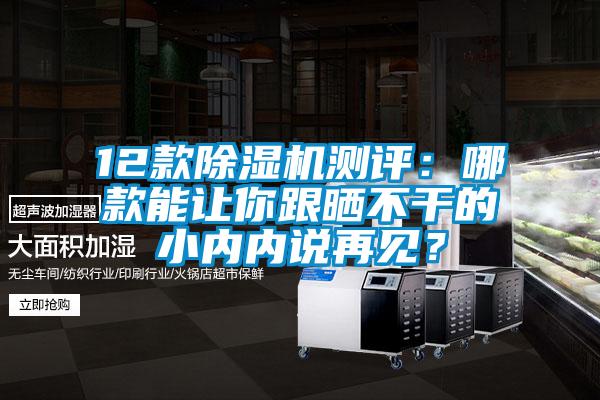 12款除濕機(jī)測(cè)評(píng)：哪款能讓你跟曬不干的小內(nèi)內(nèi)說再見？