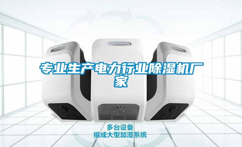 專(zhuān)業(yè)生產(chǎn)電力行業(yè)除濕機(jī)廠(chǎng)家