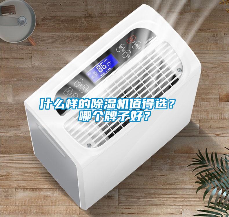 什么樣的除濕機值得選？ 哪個牌子好？