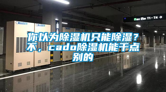 你以為除濕機(jī)只能除濕？不，cado除濕機(jī)能干點(diǎn)別的
