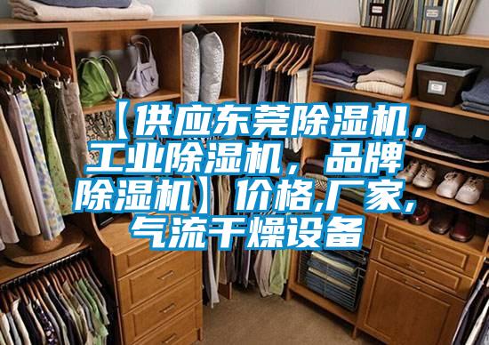 【供應(yīng)東莞除濕機(jī)，工業(yè)除濕機(jī)，品牌除濕機(jī)】?jī)r(jià)格,廠家,氣流干燥設(shè)備