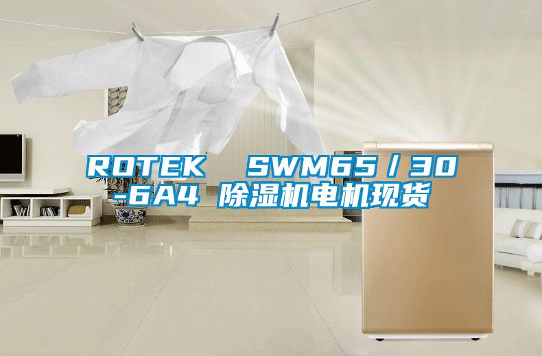 ROTEK SWM65/30-6A4 除濕機(jī)電機(jī)現(xiàn)貨