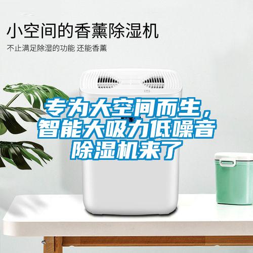 專為大空間而生，智能大吸力低噪音除濕機(jī)來了