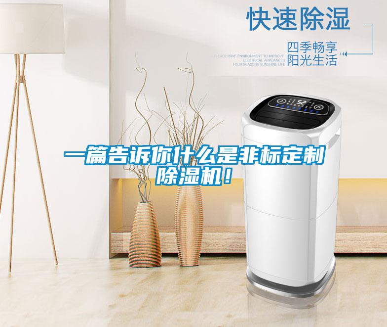 一篇告訴你什么是非標(biāo)定制除濕機(jī)！