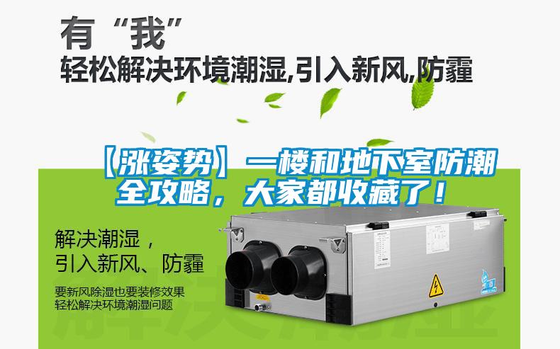 【漲姿勢】一樓和地下室防潮全攻略，大家都收藏了！