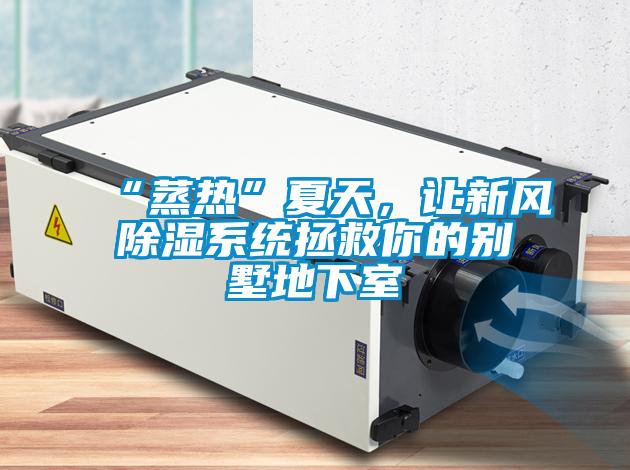 “蒸熱”夏天，讓新風(fēng)除濕系統(tǒng)拯救你的別墅地下室