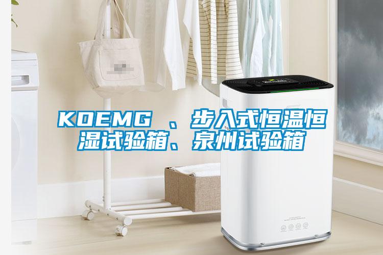 KOEMG 、步入式恒溫恒濕試驗(yàn)箱、泉州試驗(yàn)箱