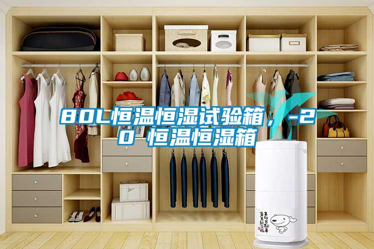 80L恒溫恒濕試驗(yàn)箱，-20℃恒溫恒濕箱
