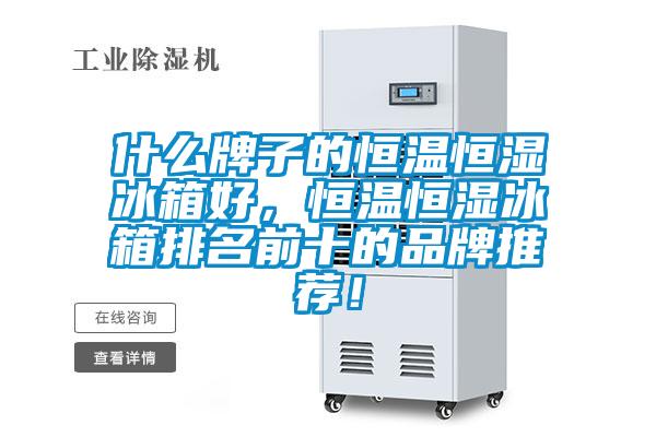什么牌子的恒溫恒濕冰箱好，恒溫恒濕冰箱排名前十的品牌推薦！