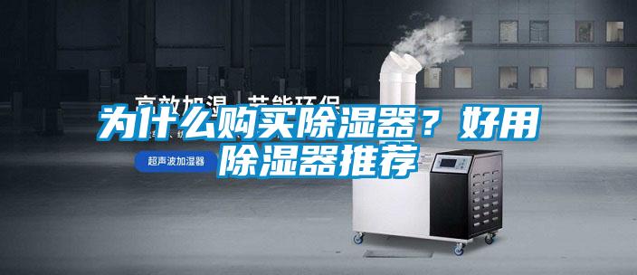 為什么購買除濕器？好用除濕器推薦