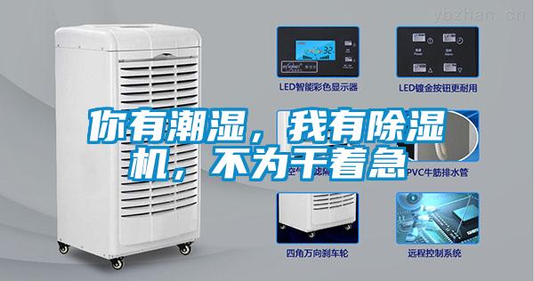 你有潮濕，我有除濕機，不為干著急