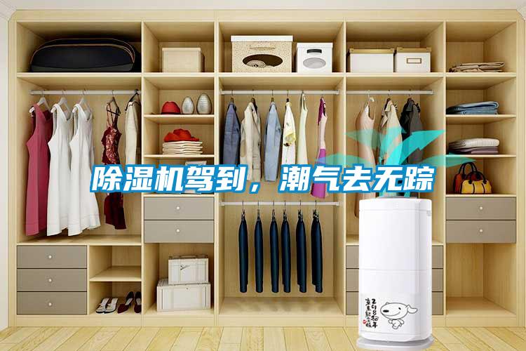 除濕機(jī)駕到，潮氣去無蹤