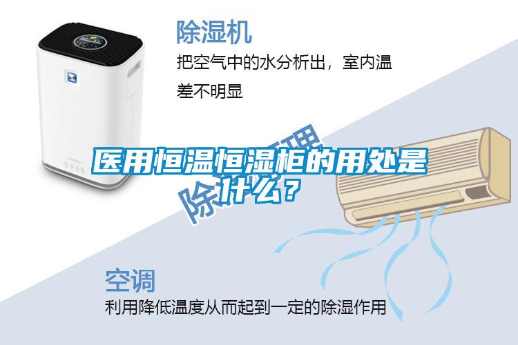 醫(yī)用恒溫恒濕柜的用處是什么？
